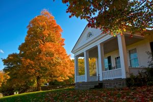 Home surrounded by trees with fall leaves